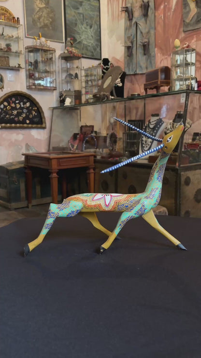 Venado Oaxaqueño / Oaxacan Deer