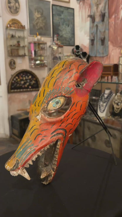 Máscara Coyote Colmilludo / Fanged Coyote Mask, 1930's